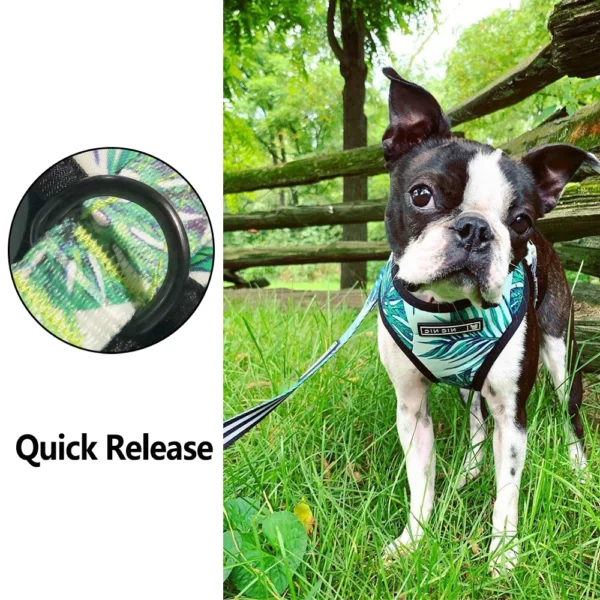 Dog Harness - Image 3