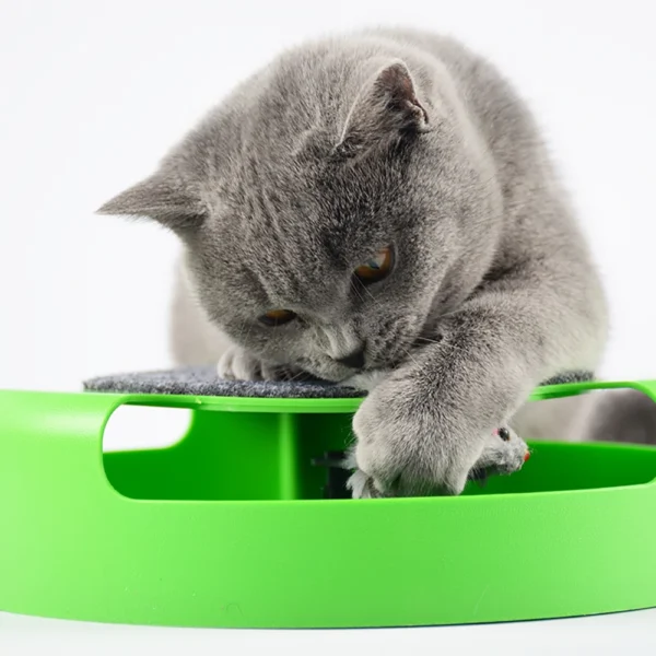 Mouse Cat Toy for Cats - Image 4