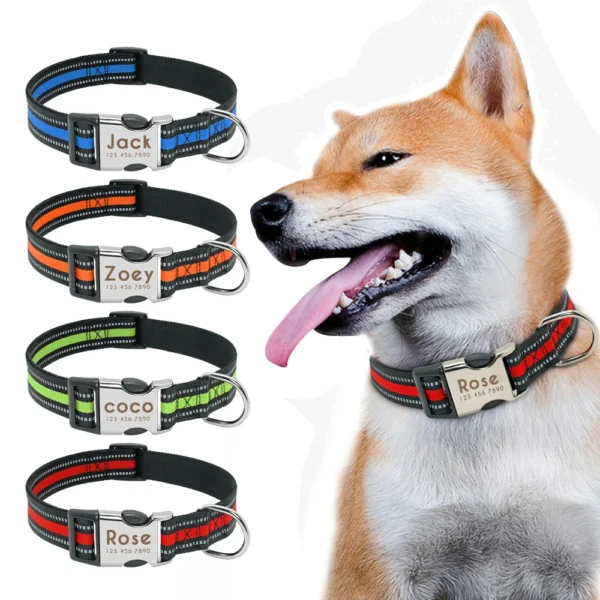 Nylon Dog Collar Personalized - Image 4