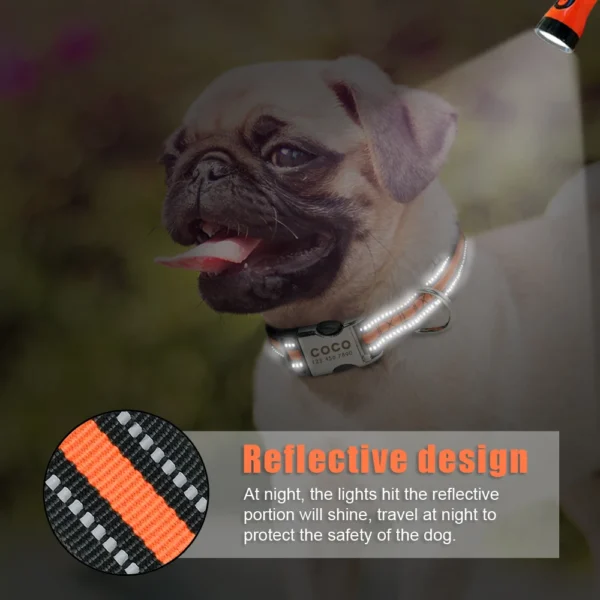 Nylon Dog Collar Personalized - Image 5