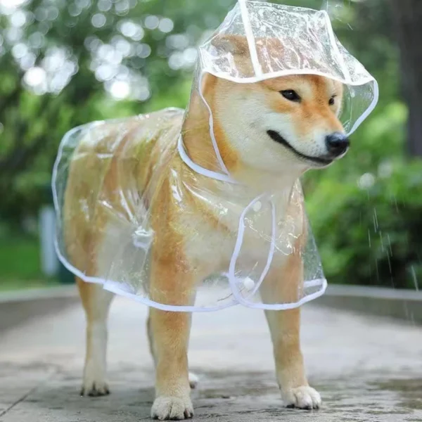 Pet Dog Puppy Transparent Rainwear - Image 2