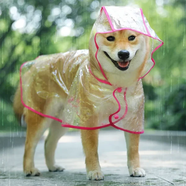 Pet Dog Puppy Transparent Rainwear - Image 3