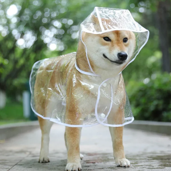 Pet Dog Puppy Transparent Rainwear