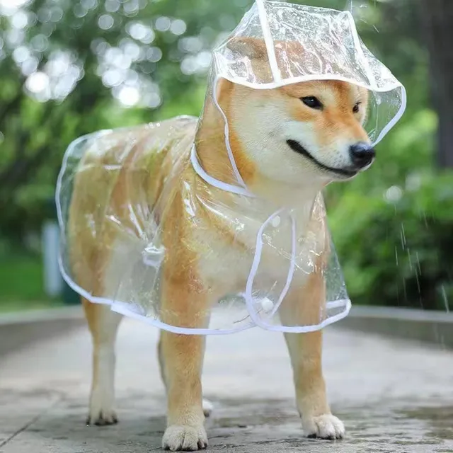 Pet-Dog-Puppy-Transparent-Rainwear-Raincoat-Pet-Hooded-Waterproof-Jacket-Clothes-Soft-PVC-Small-Dogs-Raincoat.jpg_640x640