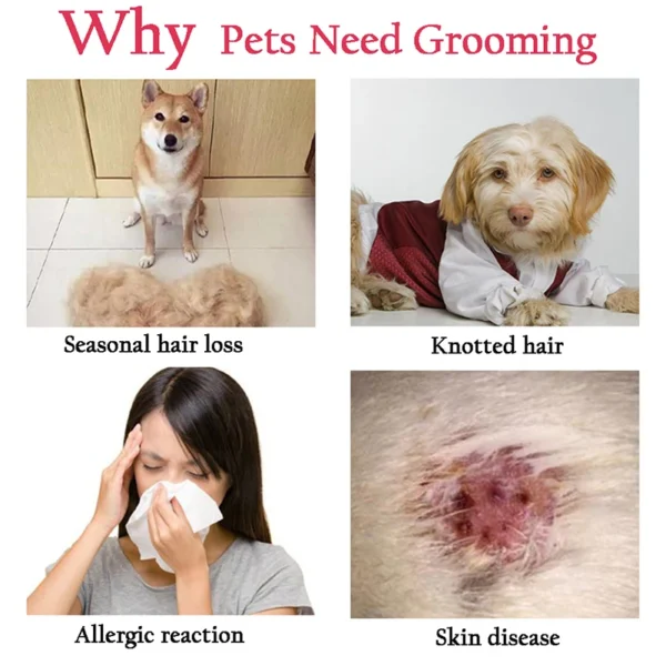 Professional Pet Deshedding - Image 4